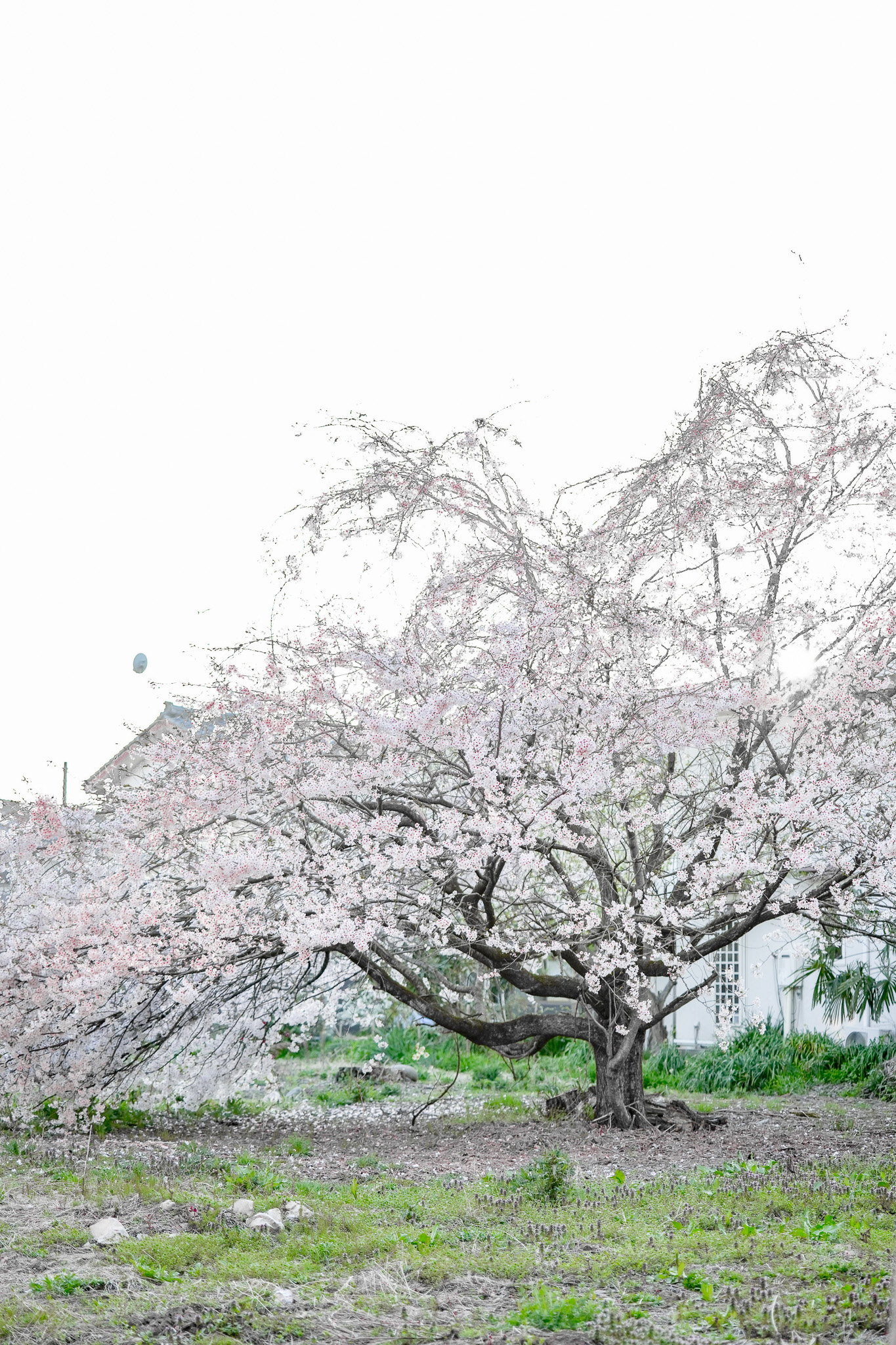 【 GW営業のお知らせ 】